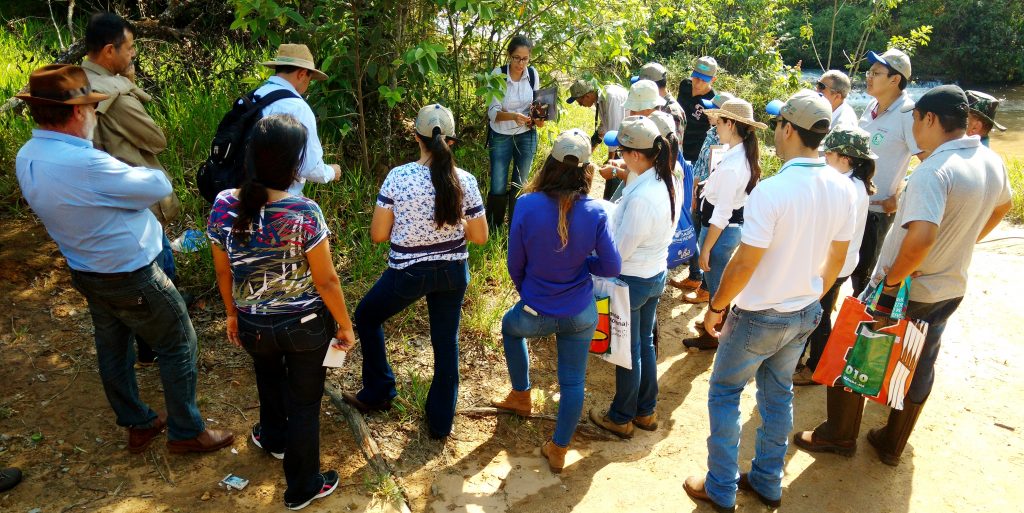 Área rural com pessoas ao redor de árvore.