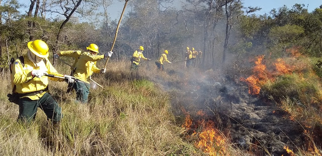 Governo institui Manejo Integrado do Fogo para prevenir e combater incêndios florestais em MS – Instituto de Meio Ambiente de Mato Grosso do Sul