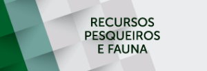 recursos-pesqueiros-e-fauna.