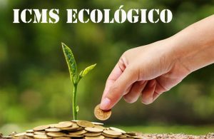 Imagem de uma mão colocando uma moeda num pé de uma plantinha.