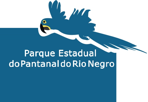 Imagem do card