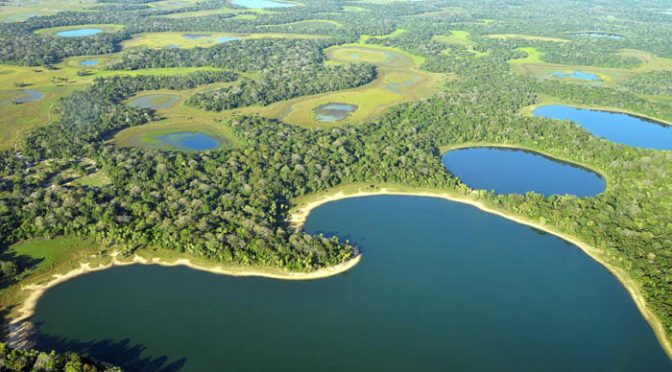 Hoje é o Dia do Pantanal, Patrimônio da Humanidade e Reserva da Biosfera –  Instituto de Meio Ambiente de Mato Grosso do Sul